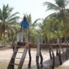 Séjour aux îles du Saloum – Image 6