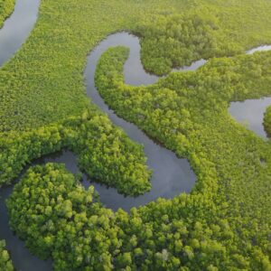 Séjour aux îles du Saloum