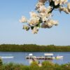 Séjour aux îles du Saloum – Image 2